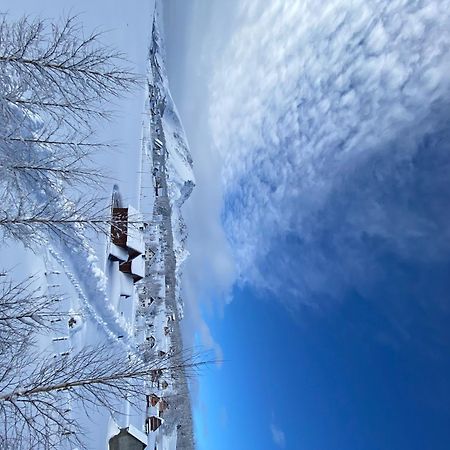 Guest house Sky Blue Žabljak Extérieur photo